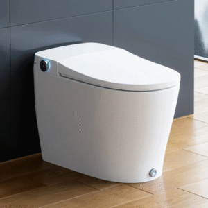 Bidet Toilet with Tank and Heated Toilet Seat for 12 Inch Rough In Model WASHLEX T05