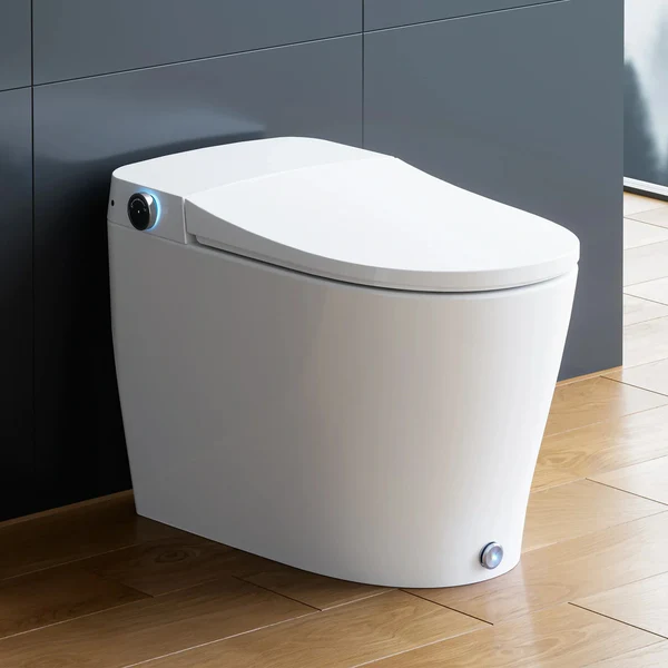 Bidet Toilet with Tank and Heated Toilet Seat for 12 Inch Rough In Model WASHLEX T05