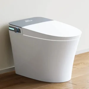 10 Inch Rough In Toilet with Bidet Toilet Seat Model T37