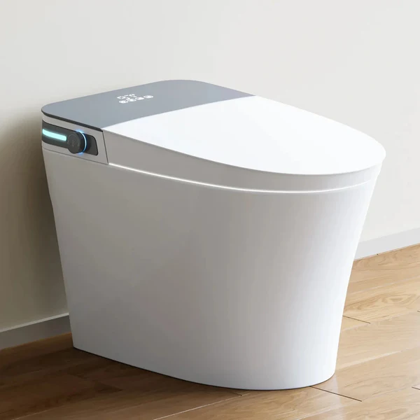 10 Inch Rough In Toilet with Bidet Toilet Seat Model T37